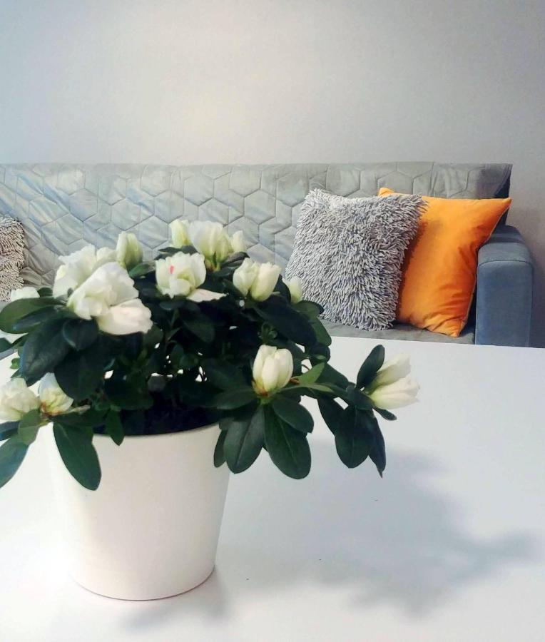 Bel Mare Wyspa, Apartament Z Parkingiem Gratis Miedzyzdroje Exterior photo